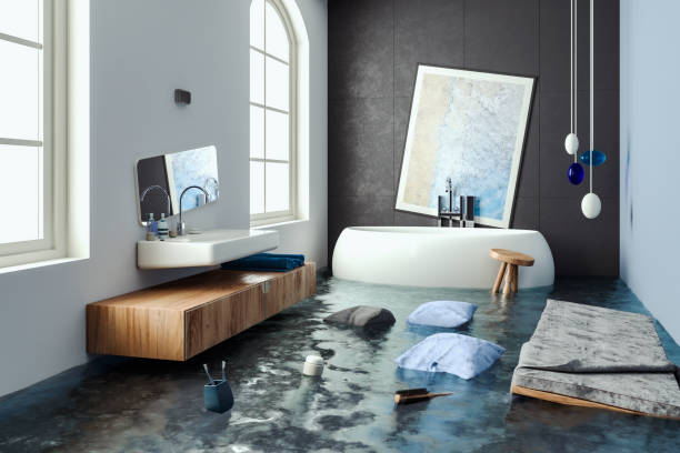 Carpet water damage restoration in Lakewood, WA