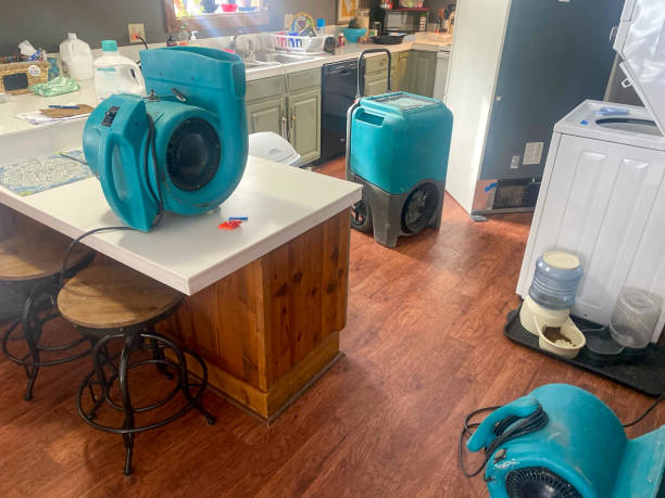 Best Commercial water damage restoration  in Lakewood, WA