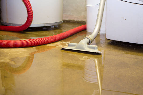 Sewage cleanup and water damage restoration in Lakewood, WA