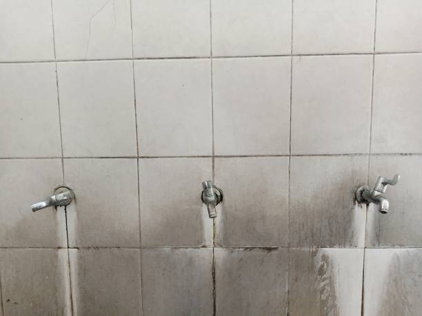 Best Carpet water damage restoration  in Lakewood, WA