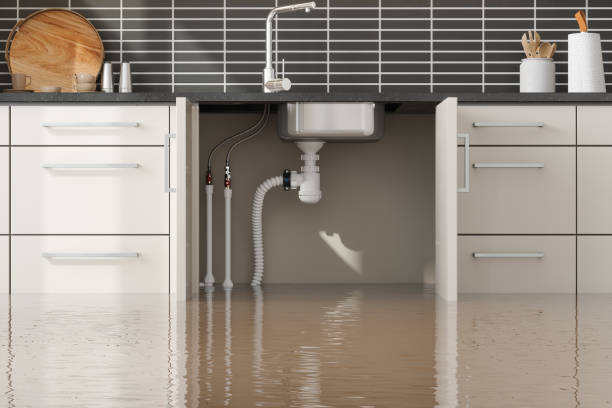 Best Water damage contractors near me  in Lakewood, WA