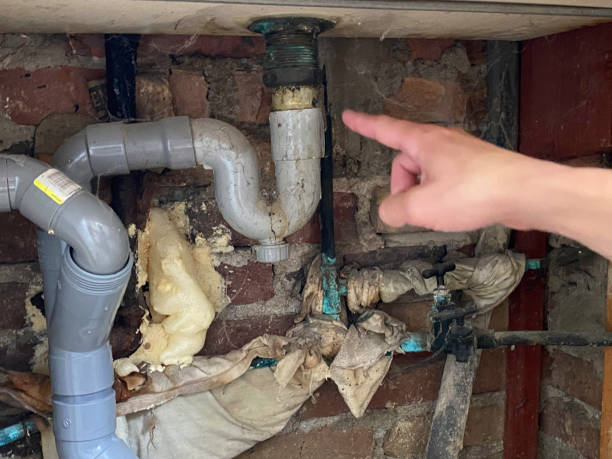 Best Fire Damage Restoration  in Lakewood, WA
