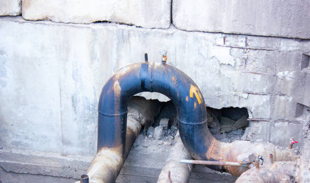 Best Flood restoration services  in Lakewood, WA