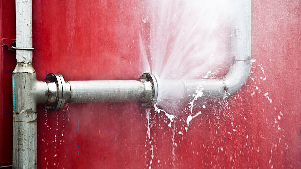 Best Water damage restoration process  in Lakewood, WA